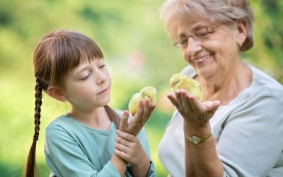 Everyone Wins: Why Society Must Tap into Seniors’ Experience & Wisdom