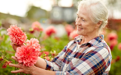 Positive Aging: Changing Your Mindset About Growing Older By Brad Breeding