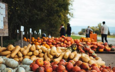 Simple Summer Dish: Acorn Squash with Breakfast Sausages By Ellen Wekall