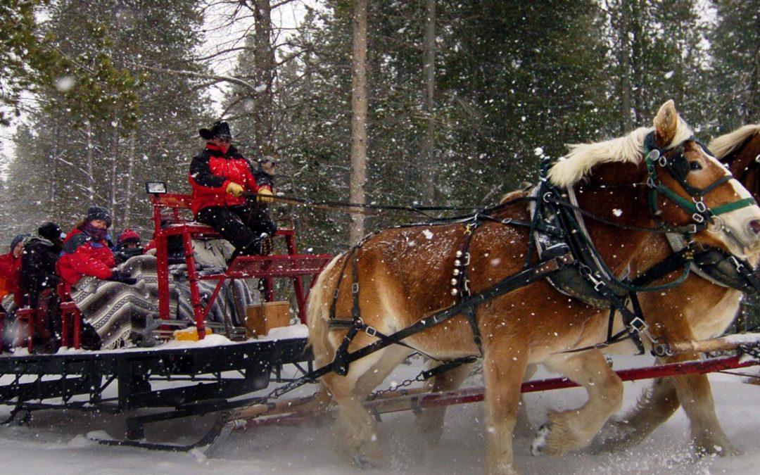The One Horse Sleigh Ride Date