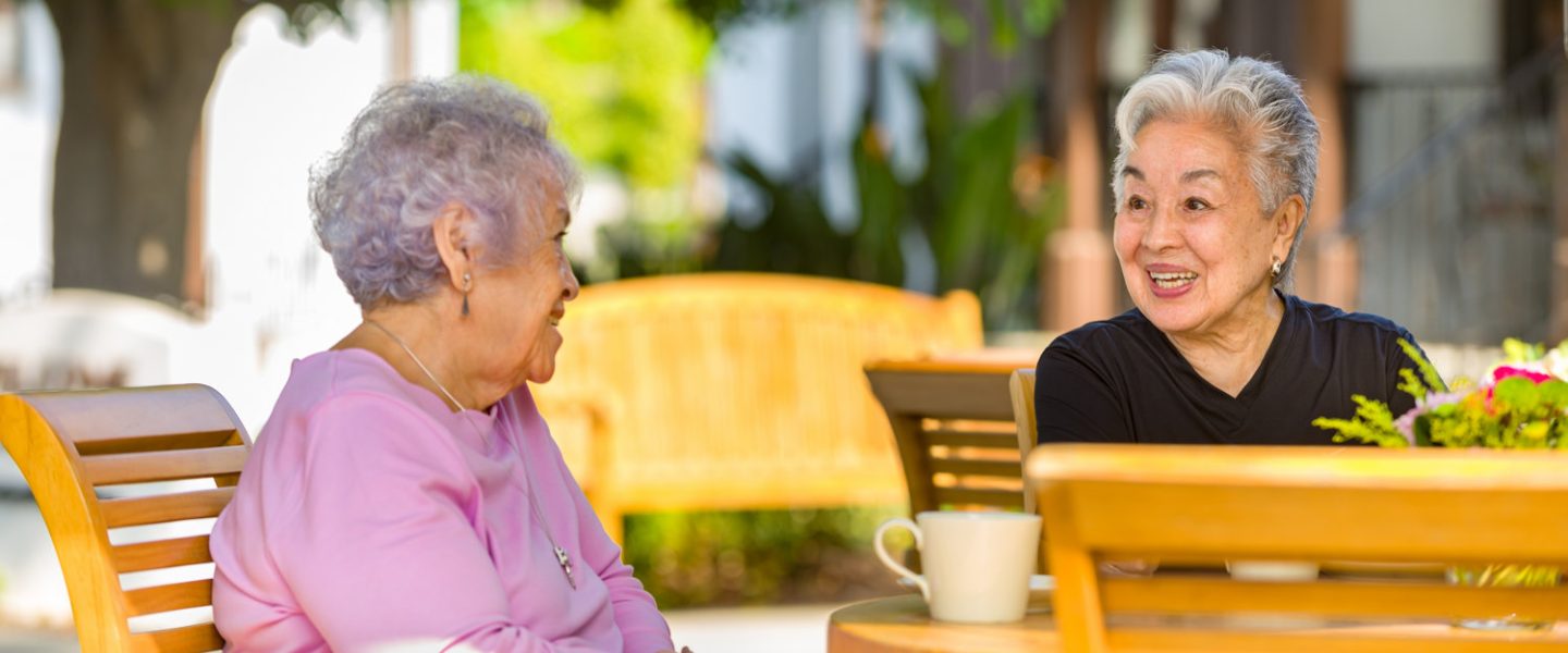 Lifestyle 1st large photo