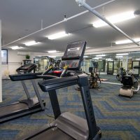 Lifestyle Option_Health small photo